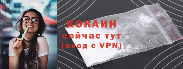 шишки Заволжск