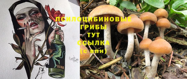 экстази Заводоуковск