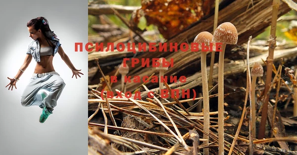 шишки Заволжск