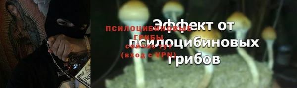 экстази Заводоуковск