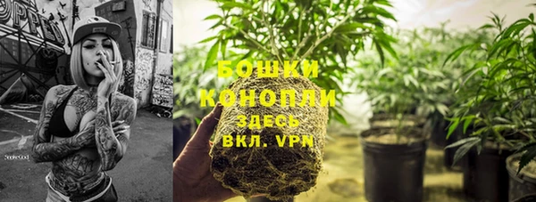 шишки Заволжск