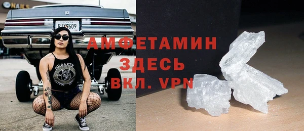 шишки Заволжск