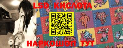 2c-b Новозыбков
