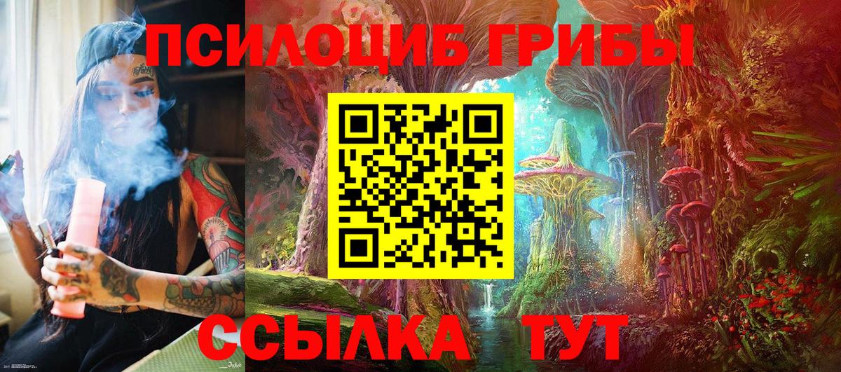 Омск  Галлюциногенные грибы Psilocybe  Вход с VPN 